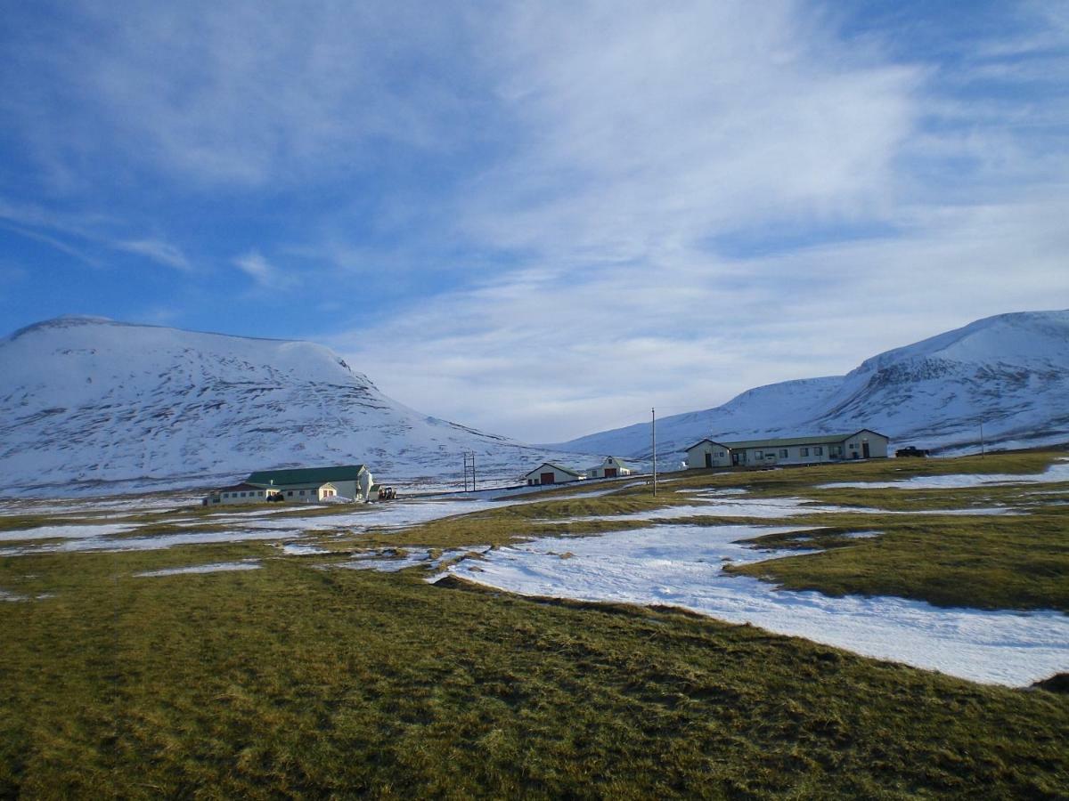 Steinnyjarstathir Skagastrond Exterior photo